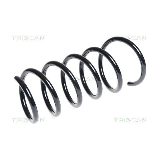 8750 2574 - Coil Spring 