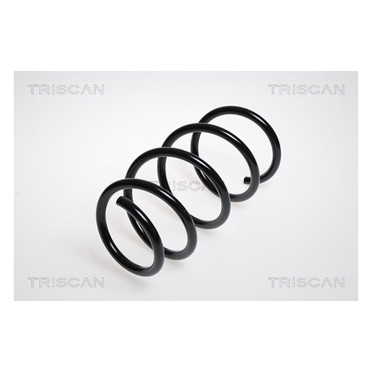 8750 2569 - Coil Spring 