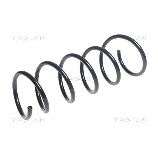 8750 25130 - Coil Spring 