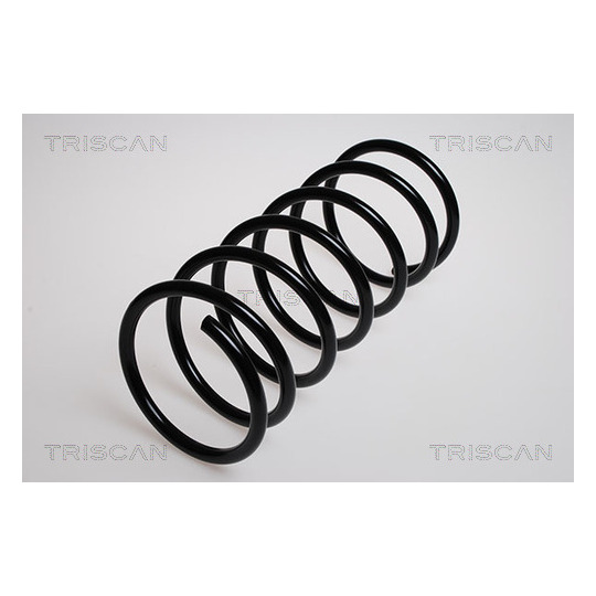 8750 2880 - Coil Spring 