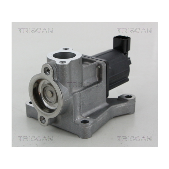 8813 50015 - EGR Valve 