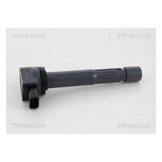 8860 40007 - Ignition Coil 