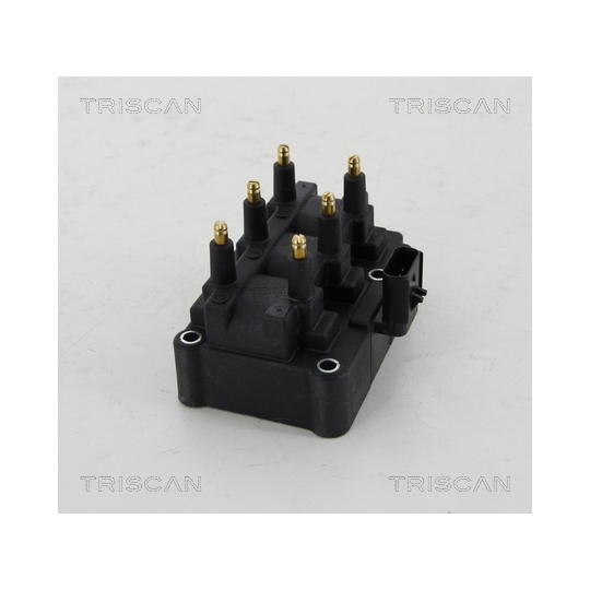 8860 80006 - Ignition Coil 