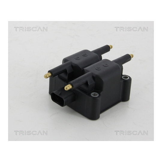 8860 80008 - Ignition Coil 