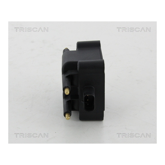 8860 80008 - Ignition Coil 