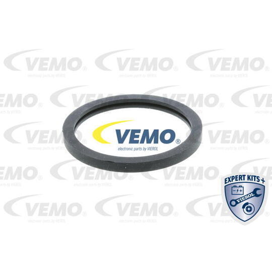 V50-99-0002 - Thermostat, coolant 