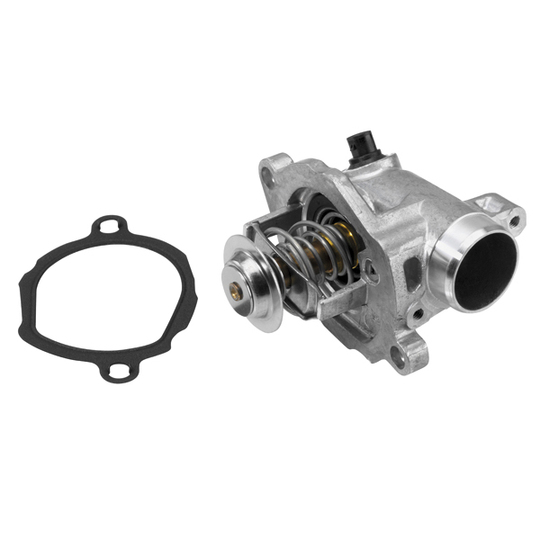 4829.100D - Thermostat, coolant 