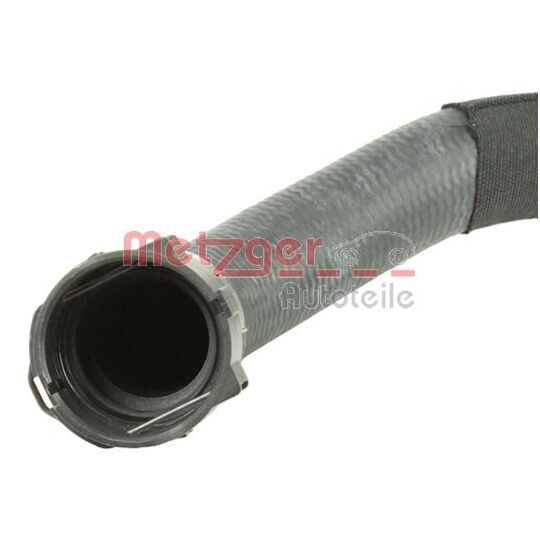 2420761 - Radiator Hose 