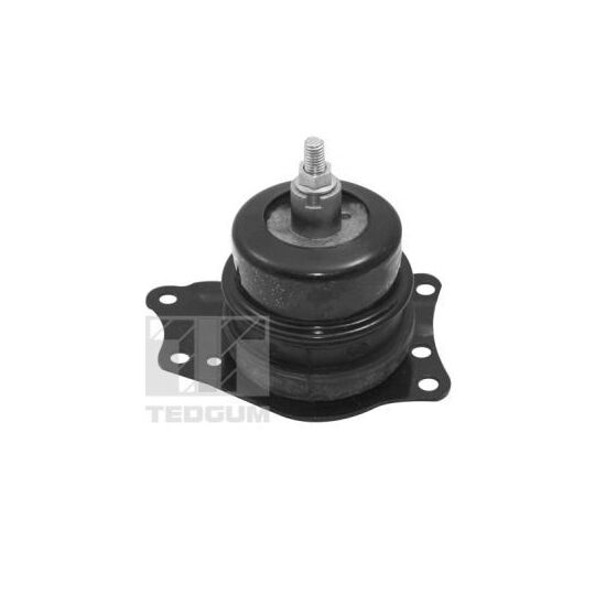 TED40385 - Engine Mounting 