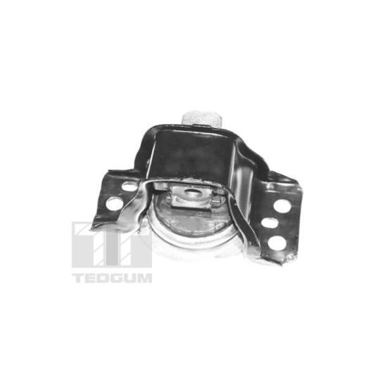 TED59889 - Motormontering 