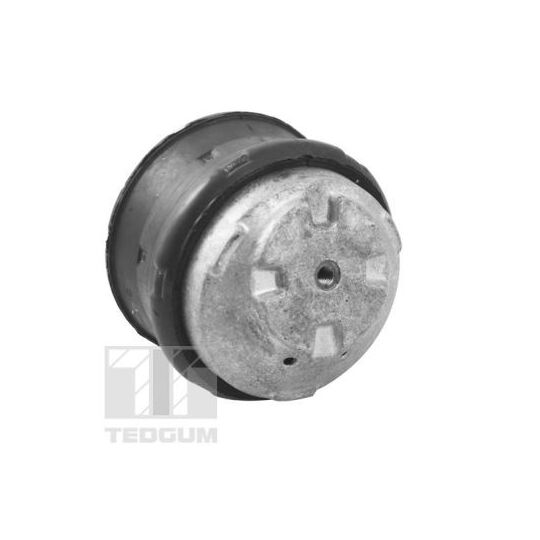 TED81021 - Engine Mounting 