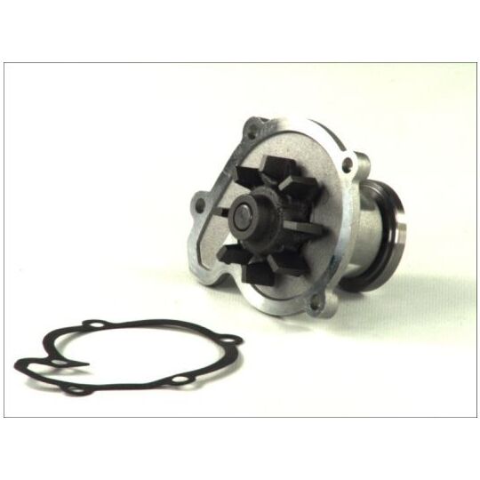 D11052TT - Water pump 