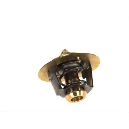 D2DA002TT - Thermostat, coolant 