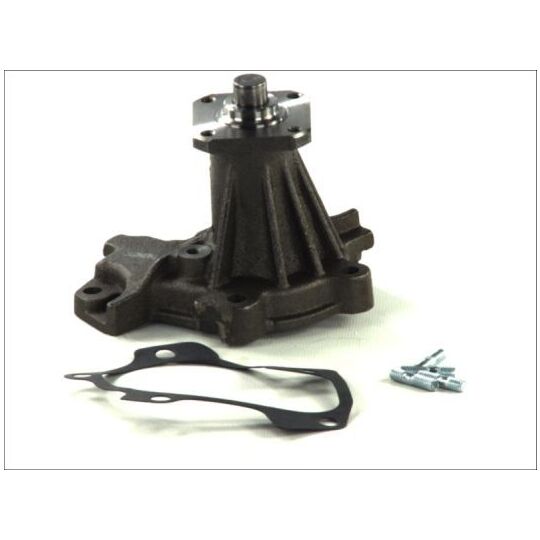 D16010TT - Water pump 