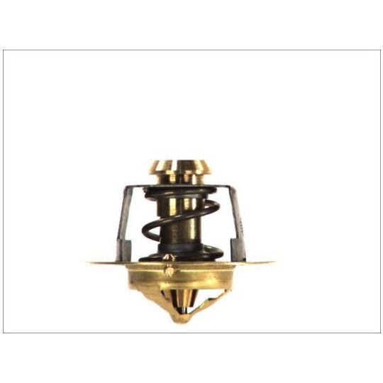 D2DA002TT - Thermostat, coolant 