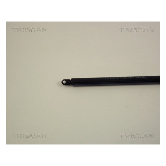 8710 1004 - Gas Spring, bonnet 