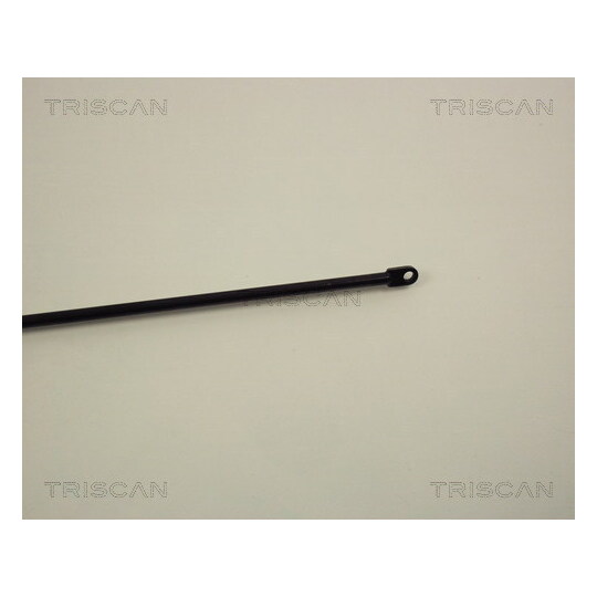 8710 1004 - Gas Spring, bonnet 