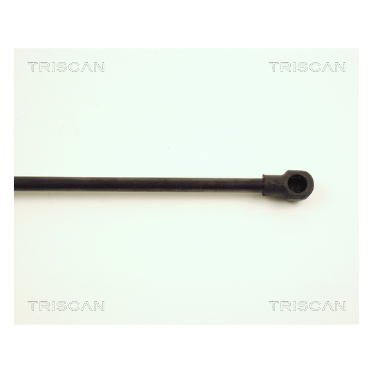 8710 29118 - Gas Spring, bonnet 