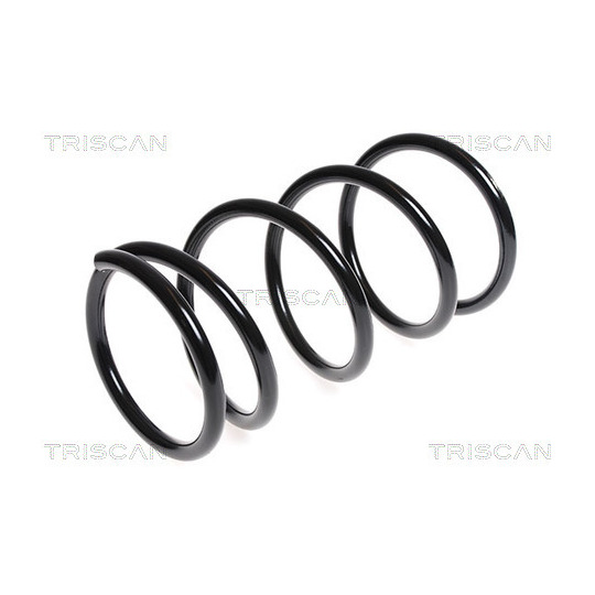 8750 1040 - Coil Spring 