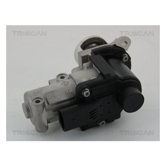 8813 29002 - EGR Valve 