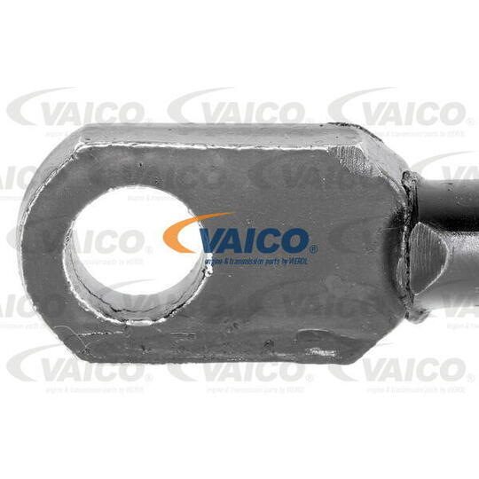 V20-2055 - Gas Spring, rear windscreen 