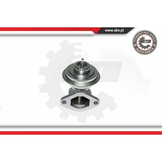 14SKV049 - EGR Valve 