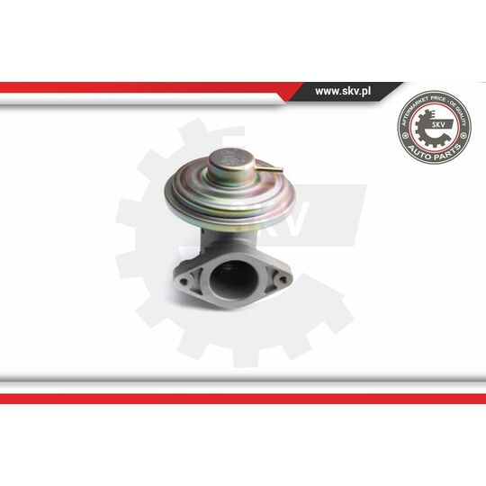 14SKV098 - EGR Valve 