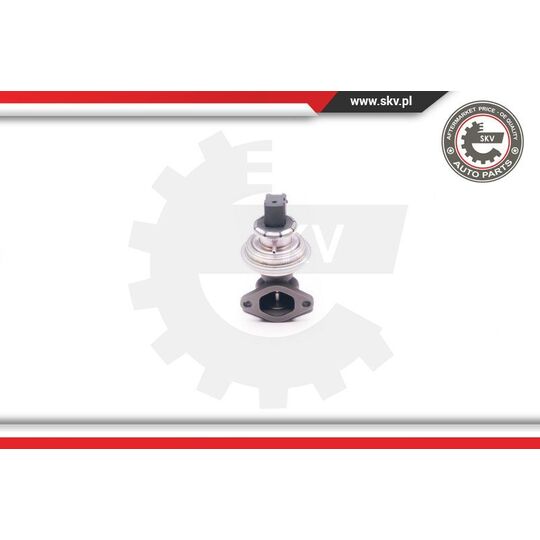 14SKV129 - EGR Valve 