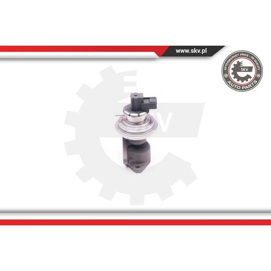 14SKV129 - EGR Valve 