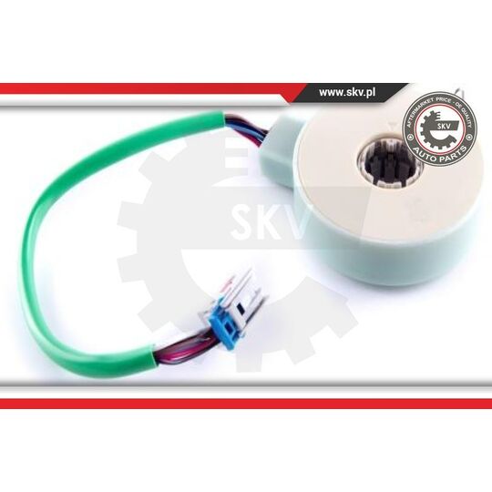 17SKV479 - Steering Angle Sensor 