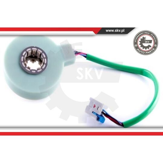 17SKV479 - Steering Angle Sensor 