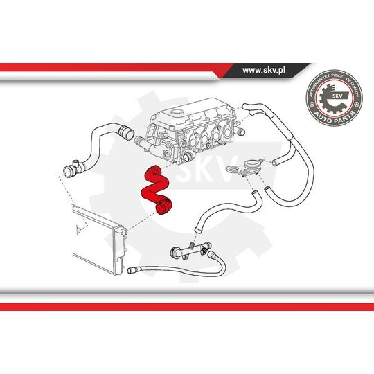 24SKV201 - Radiator Hose 