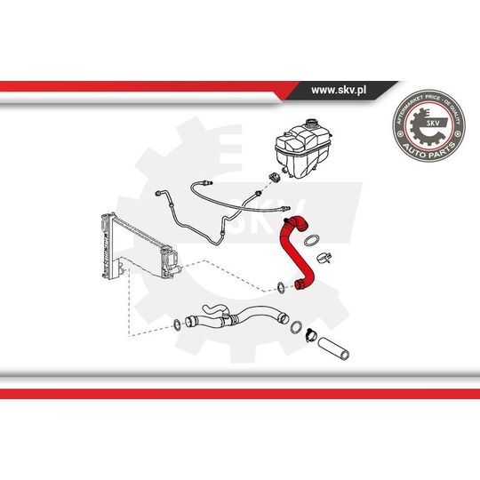 24SKV299 - Radiator Hose 