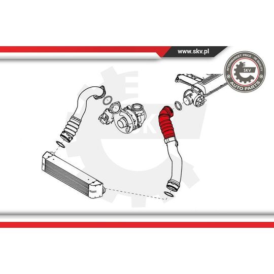 24SKV695 - Charger Air Hose 