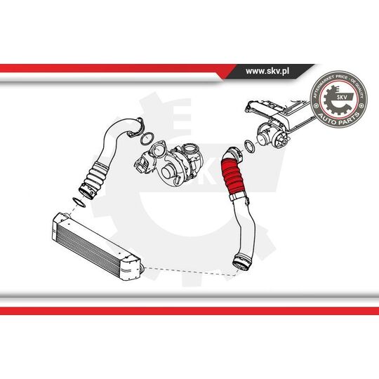 24SKV696 - Charger Air Hose 