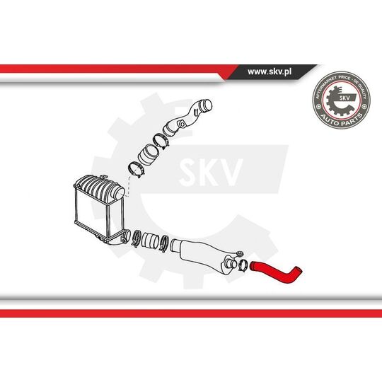 24SKV732 - Charger Air Hose 