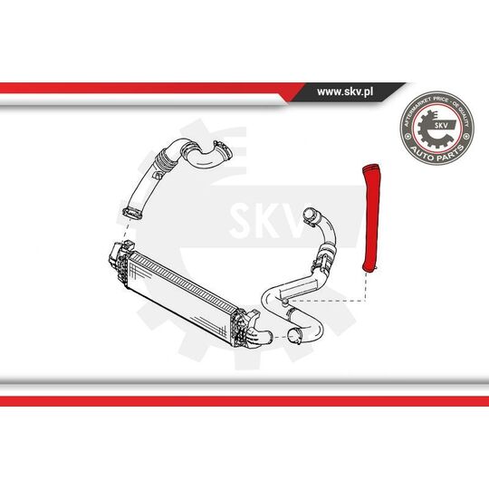 24SKV771 - Charger Air Hose 