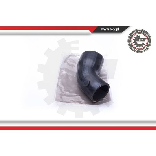 24SKV813 - Charger Air Hose 