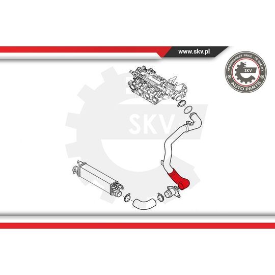 24SKV901 - Charger Air Hose 