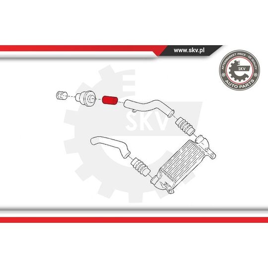 24SKV974 - Charger Air Hose 