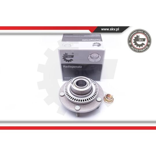 29SKV183 - Wheel Bearing Kit 