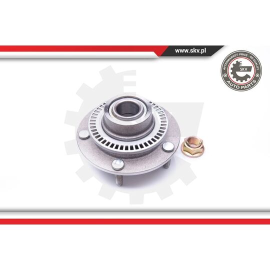 29SKV183 - Wheel Bearing Kit 