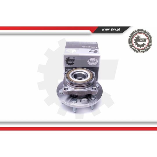 29SKV319 - Wheel Bearing Kit 