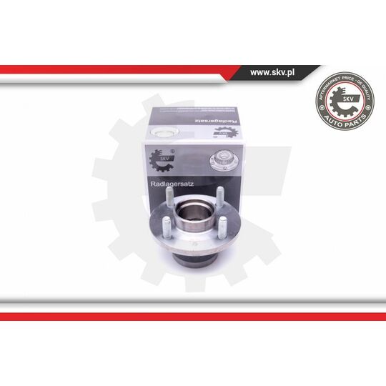 29SKV296 - Wheel Bearing Kit 