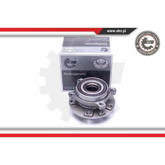 29SKV309 - Wheel Bearing Kit 