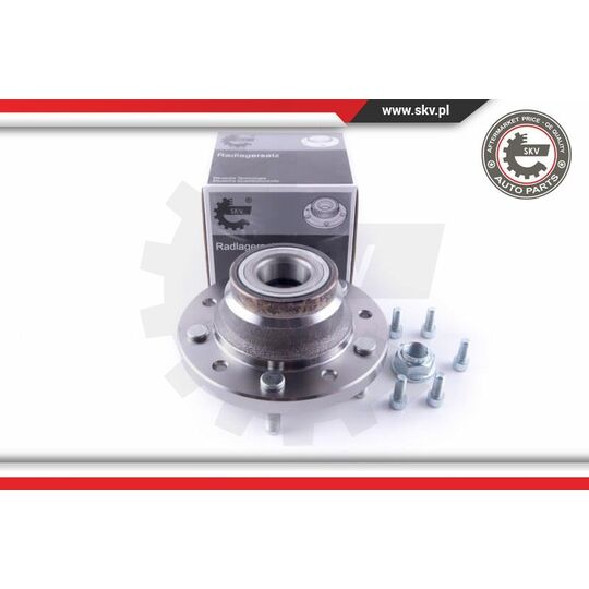 29SKV304 - Wheel Bearing Kit 