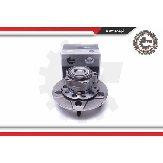 29SKV313 - Wheel Bearing Kit 