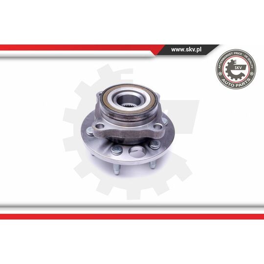 29SKV319 - Wheel Bearing Kit 