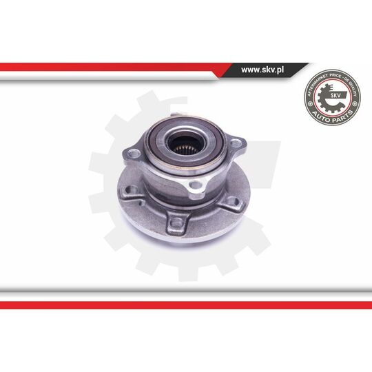 29SKV315 - Wheel Bearing Kit 