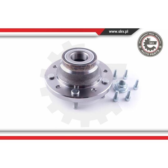 29SKV304 - Wheel Bearing Kit 